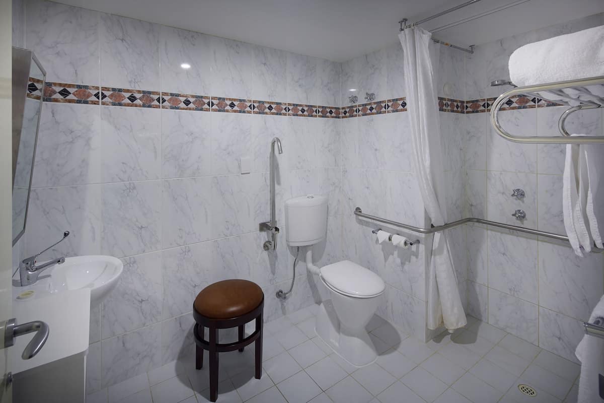 accessible room (free wifi) | bathroom | free toiletries, hair dryer, towels