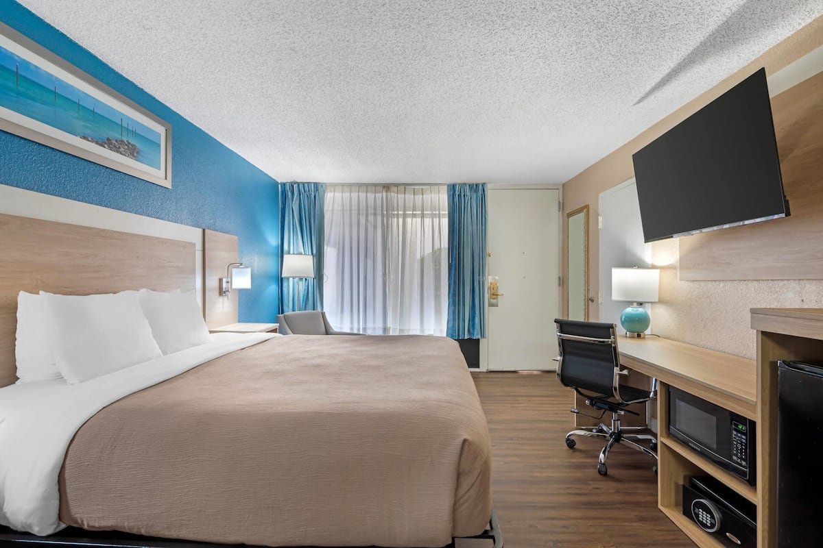 A hotel room with a bed, desk, chair, TV, and a microwave.