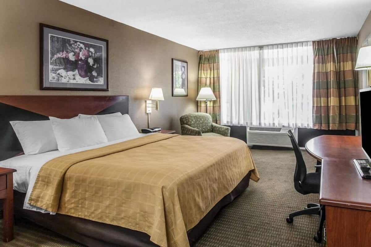 A hotel room with a bed, a desk, a chair, a nightstand, a lamp, a picture on the wall, and a window with curtains.