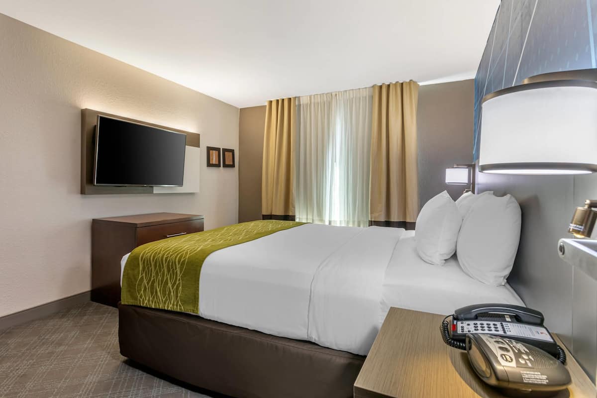 Phòng Suite, 1 giường cỡ king và sofa giường, không hút thuốc | Bộ đồ giường cao cấp, chăn bông, bàn