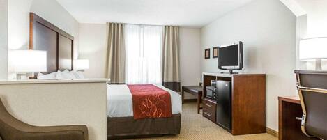 A hotel room with a bed, a desk, a television, a chair, and a sofa.