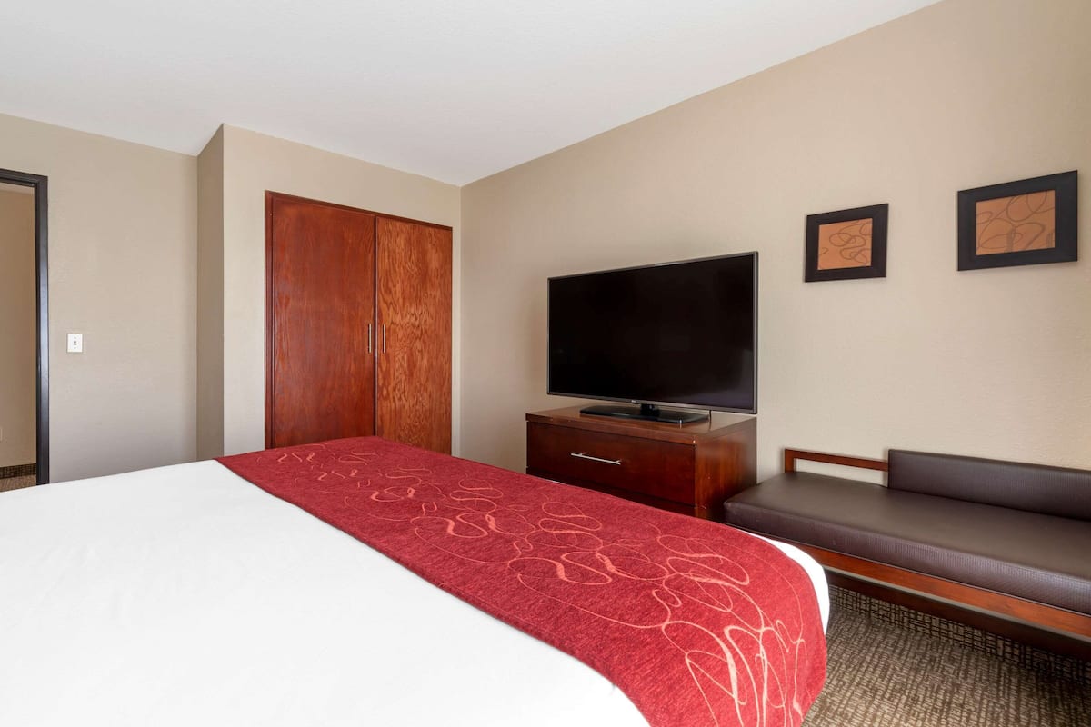Suite, 1 King-Bett und Schlafsofa, Nichtraucher | 1 Schlafzimmer, hochwertige Bettwaren, Daunenbettdecken, Schreibtisch