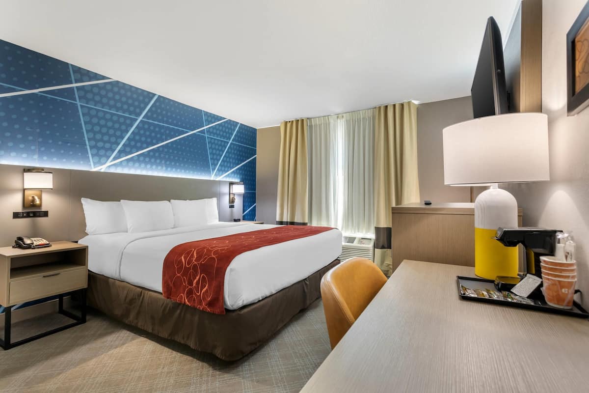 Standard Room, 1 King Bed, Non Smoking