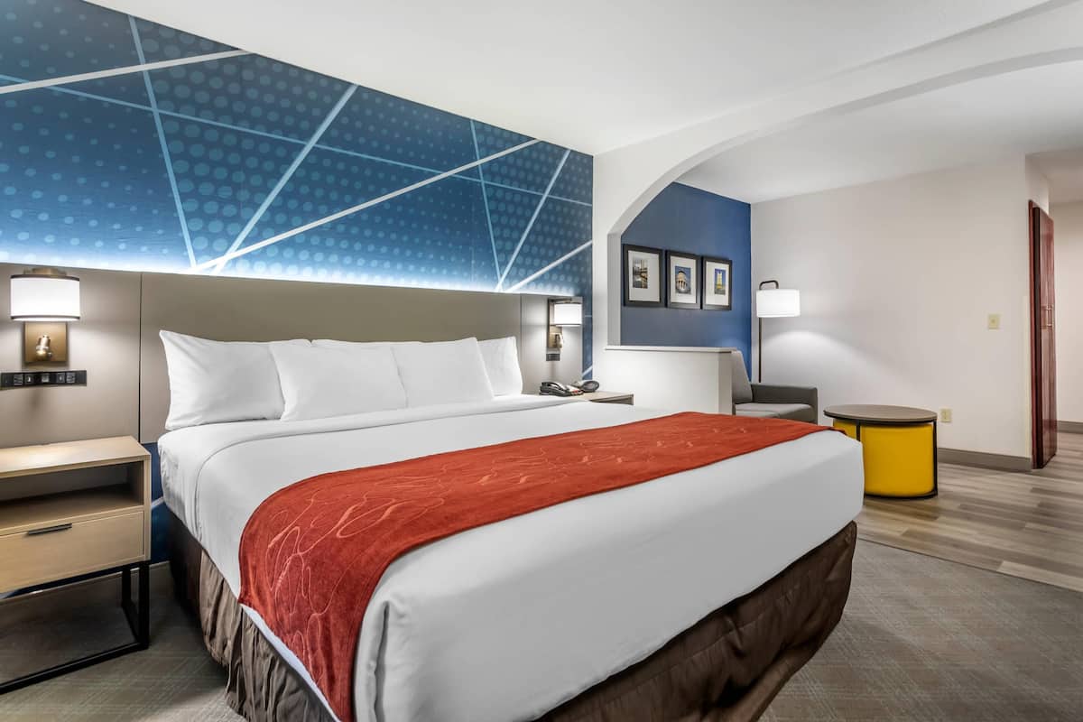 Executive Studio Suite, 1 King Bed with Sofa bed