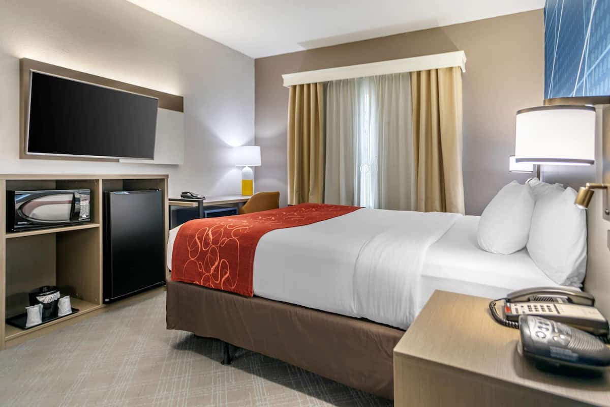 Suite, 1 King Bed, Accessible, Non Smoking