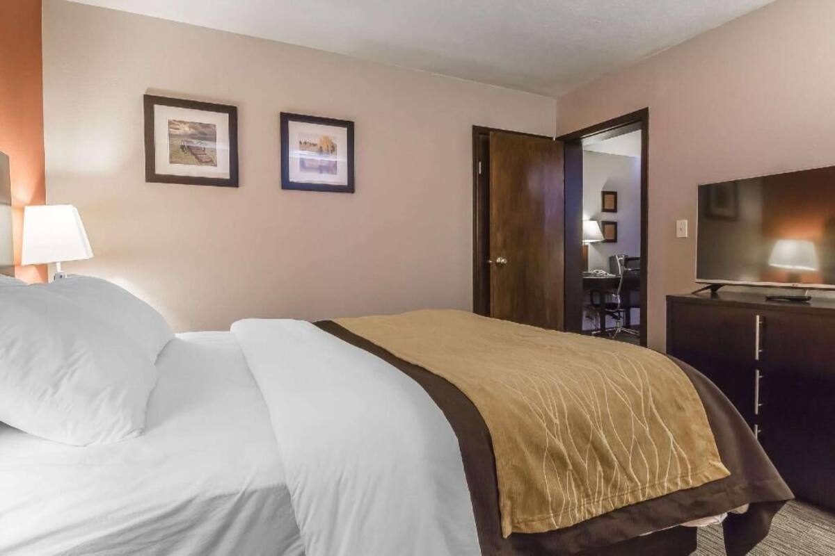 A hotel room with a bed, a TV, a desk, and two framed pictures on the wall.