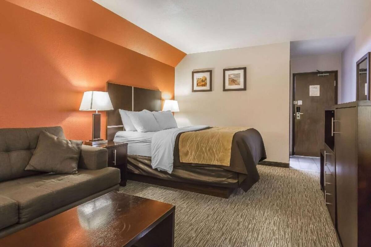 A hotel room with a bed, a sofa, a desk, and a dresser.