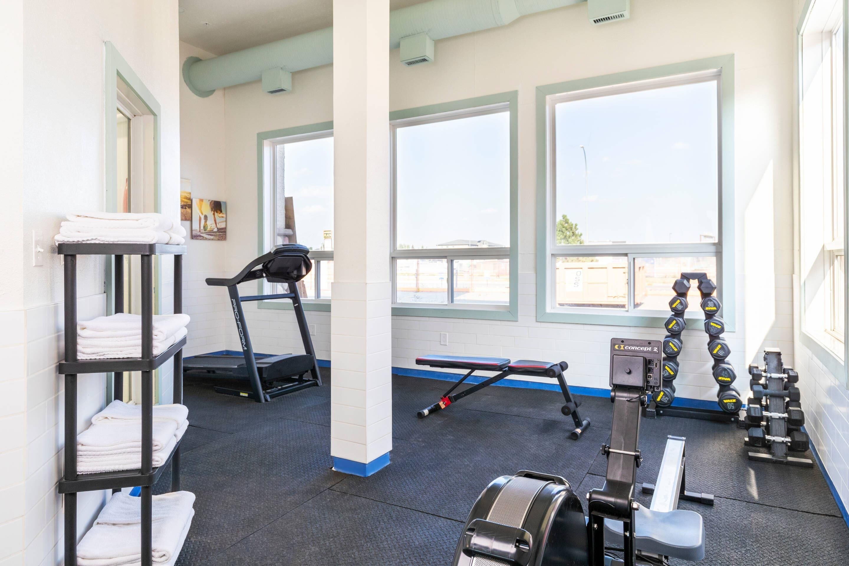 Un gimnasio con cinta de correr, mancuernas y banco para pesas.