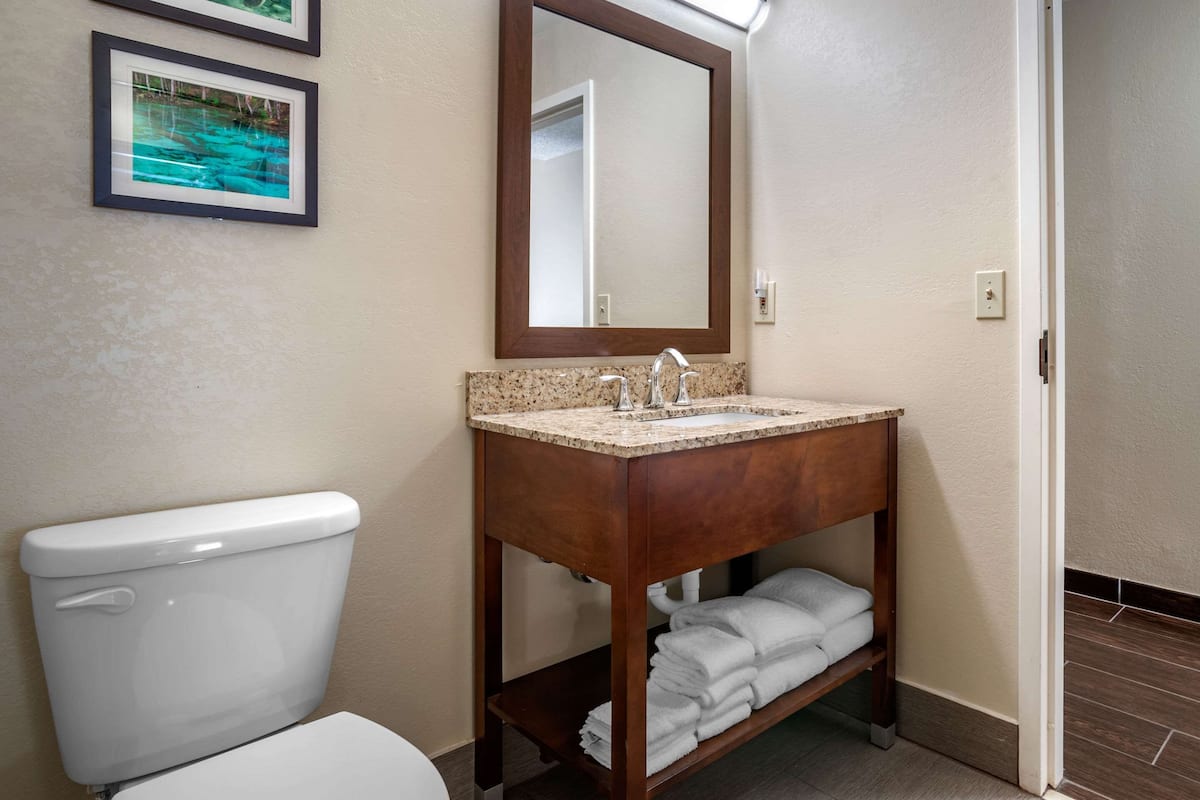 suite, 1 king bed with sofa bed, accessible, non smoking | down duvets, in-room safe, desk, blackout curtains