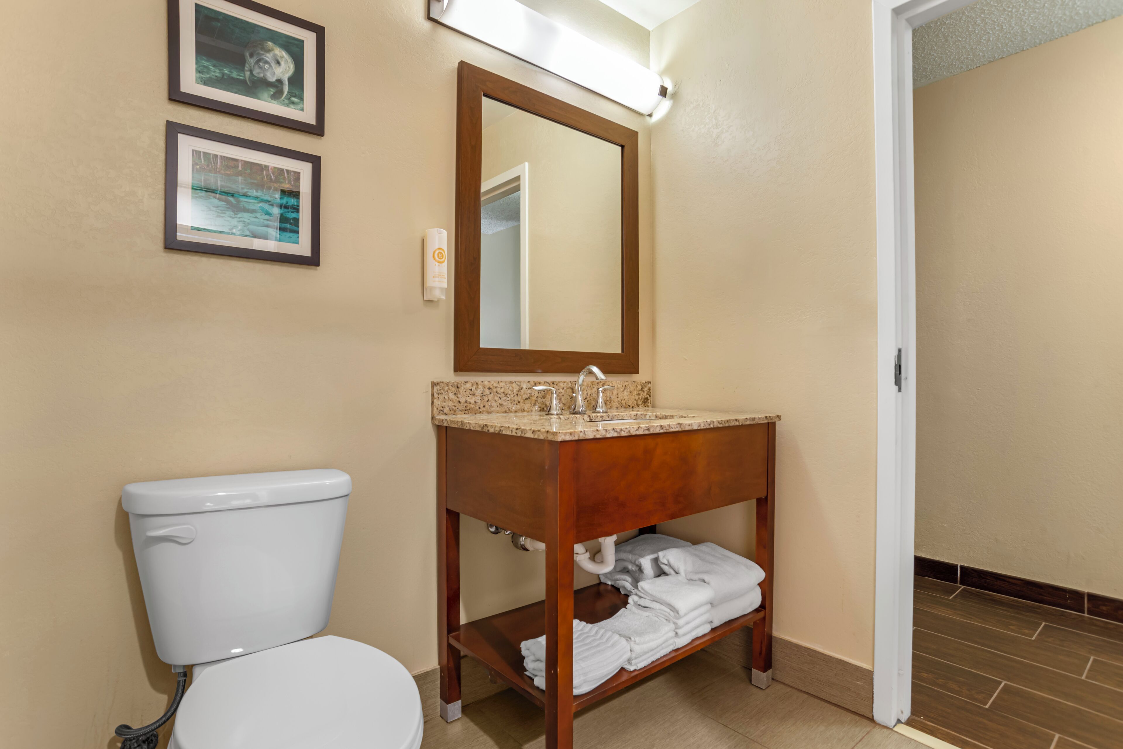 Une salle de bain avec des toilettes blanches, un meuble-lavabo en bois avec un miroir et deux tableaux encadrés accrochés au mur.