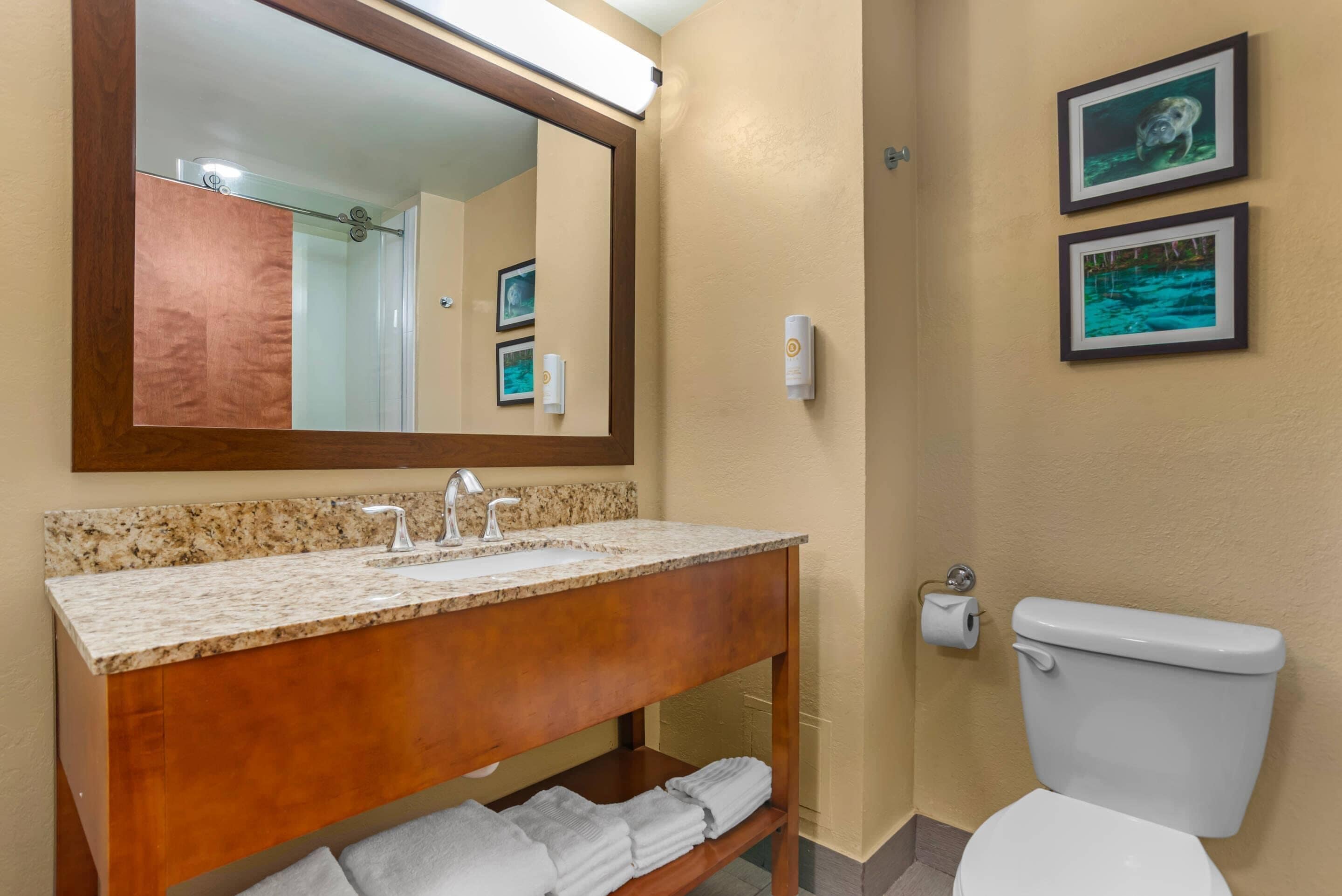 A bathroom with a granite countertop sink, a wooden vanity, a white toilet, and two framed pictures on the wall.