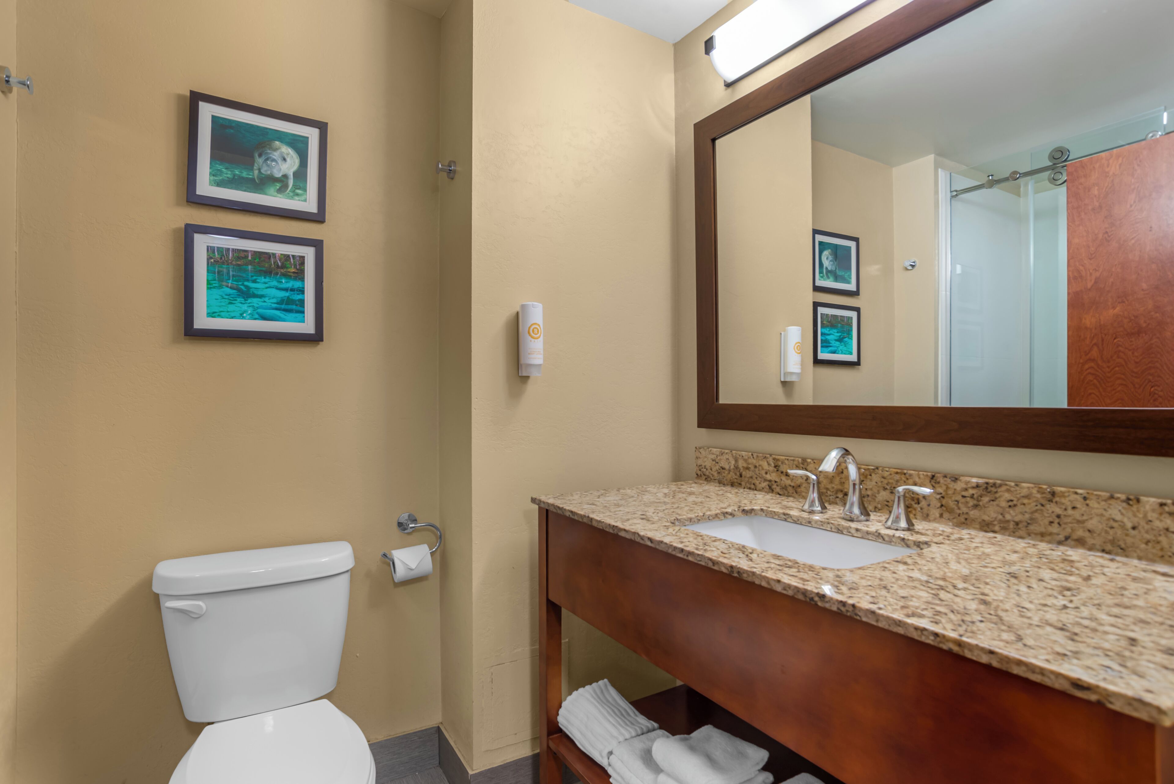 A bathroom with a toilet, sink, and mirror. There are two framed pictures on the wall.