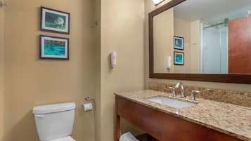 A bathroom with a toilet, sink, and mirror. There are two framed pictures on the wall.