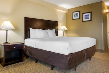Standard Room, 1 King Bed, Non Smoking | In-room safe, desk, iron/ironing board, free cribs/infant beds at Comfort Inn International Dr.