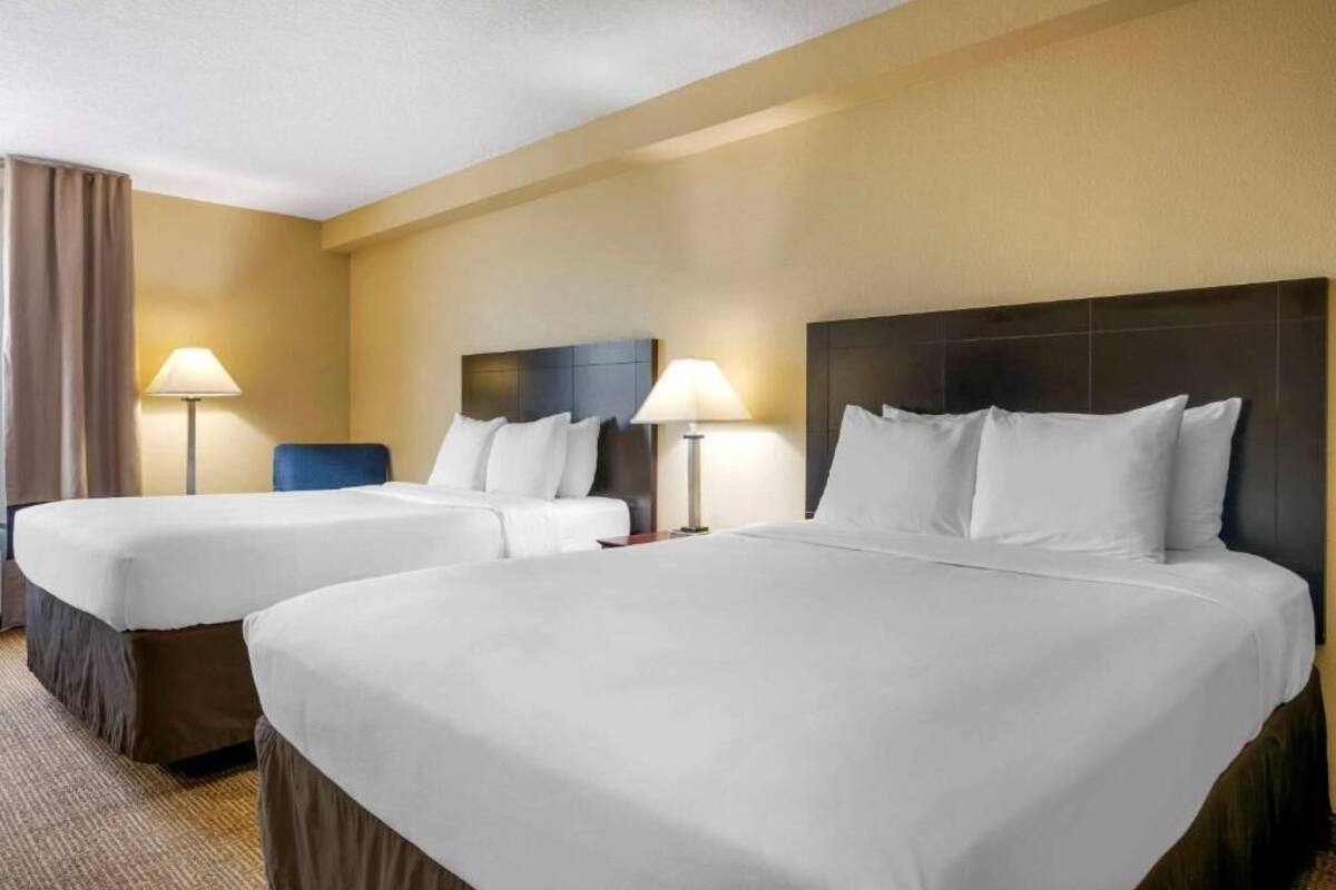 A hotel room with two beds, each with white linens, a dark headboard, and a bedside lamp.