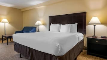 Standard Room, 1 King Bed with Sofa bed