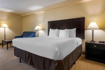 Standard Room, 1 King Bed with Sofa bed | In-room safe, desk, iron/ironing board, free WiFi at I-Drive Hotel at Universal