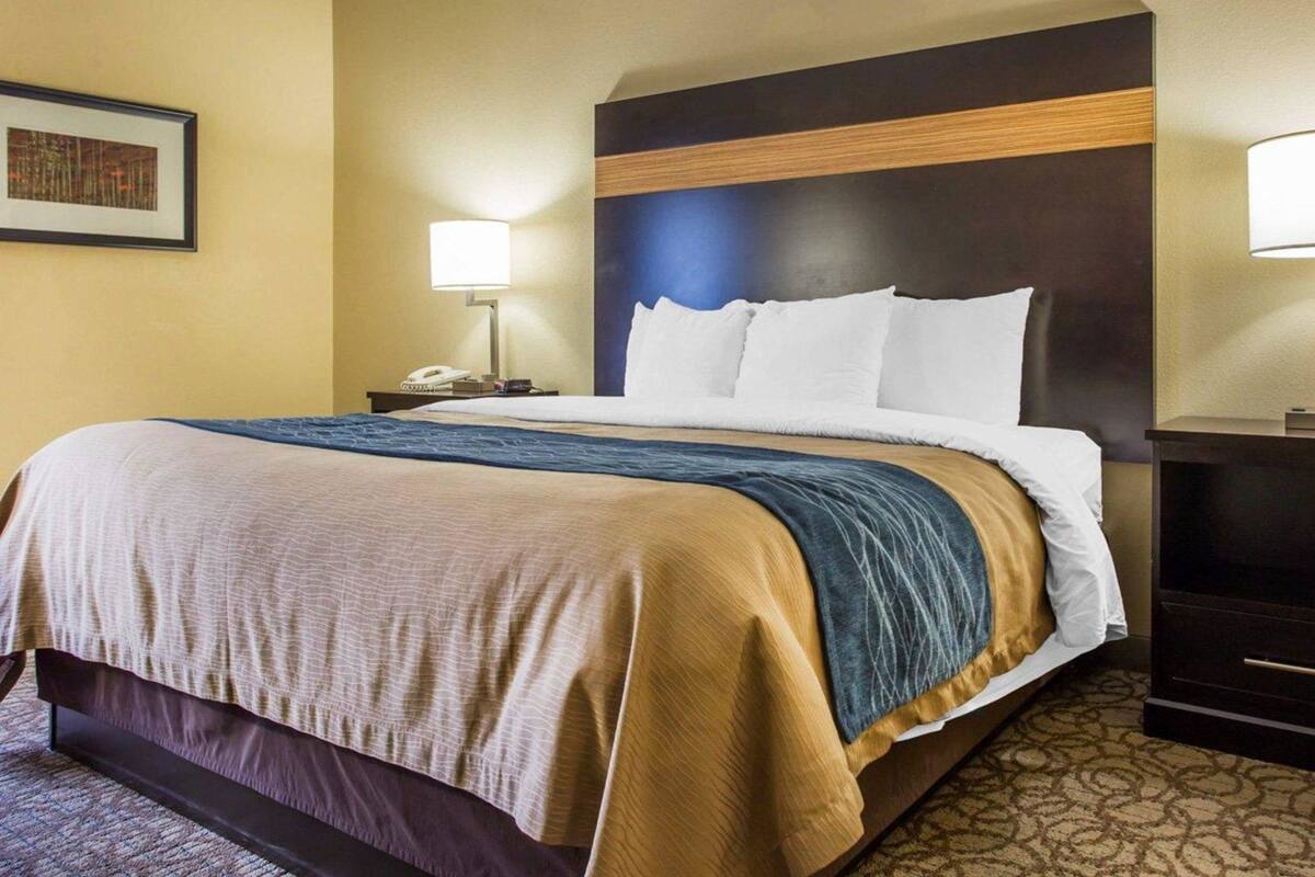 A hotel room with a bed, bedside tables, a lamp, and a framed picture on the wall.