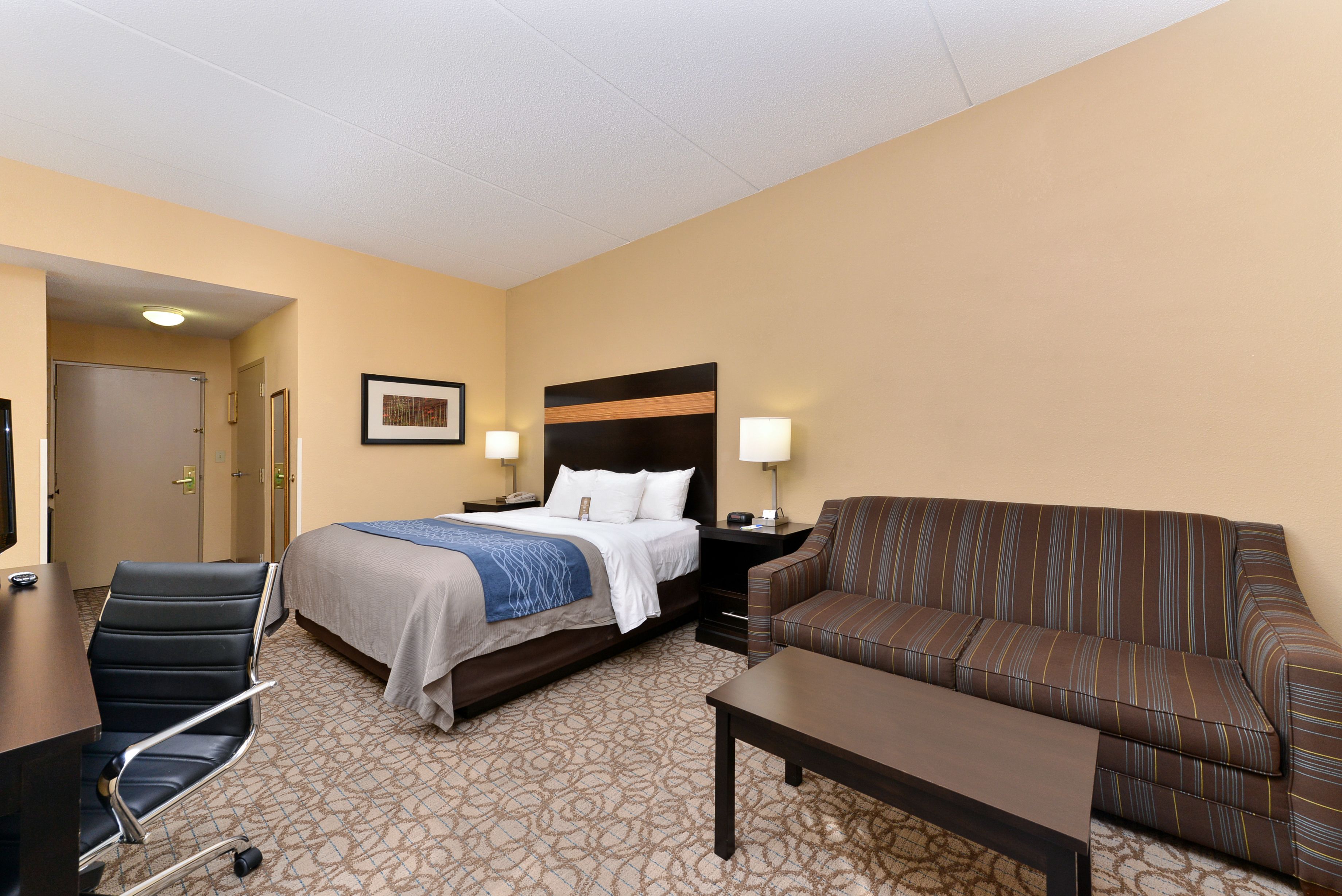 A hotel room with a bed, a sofa, a desk, and a chair.