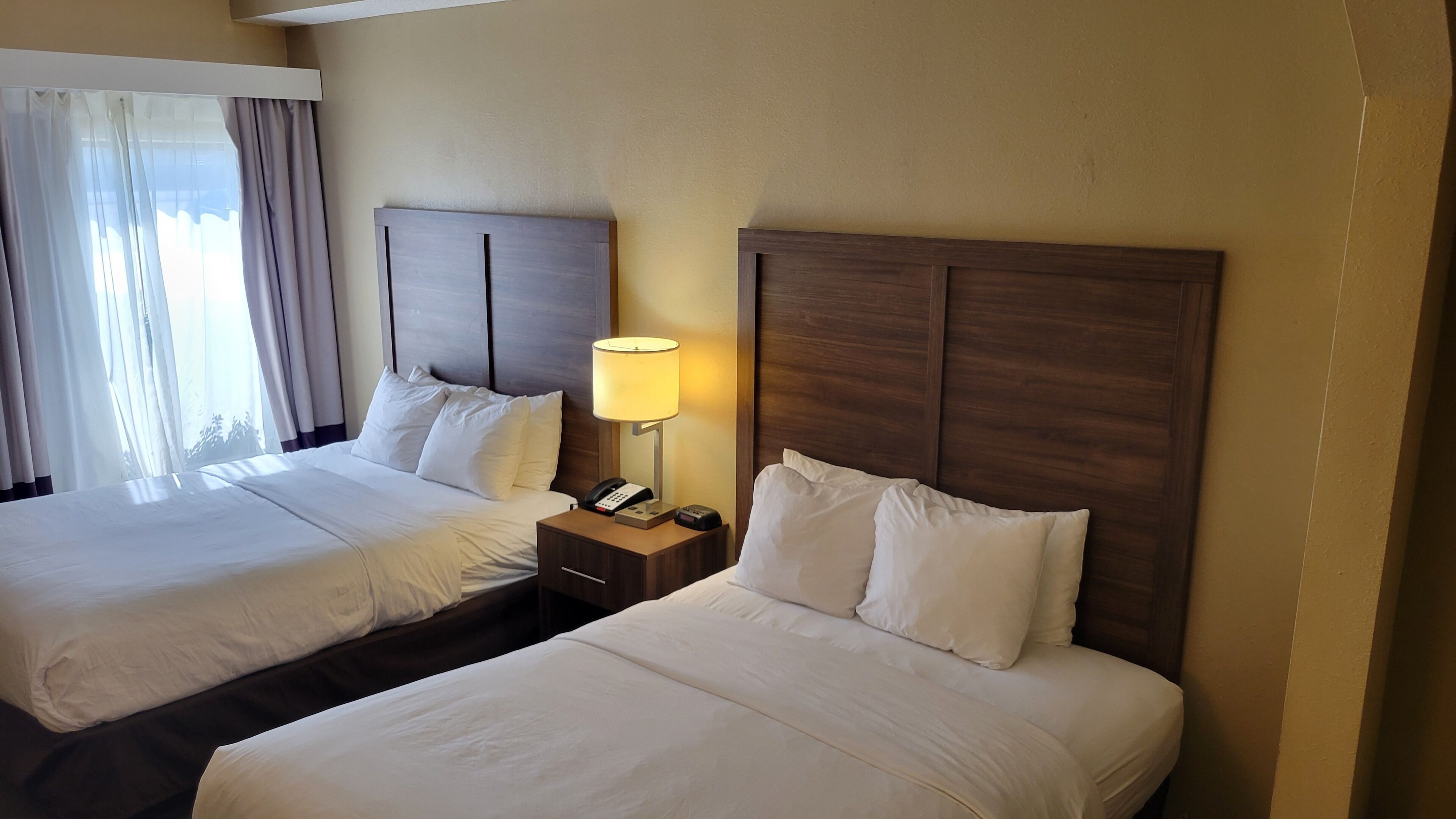 A hotel room with two beds, each with a wooden headboard, white linens, and a bedside table with a lamp and phone.