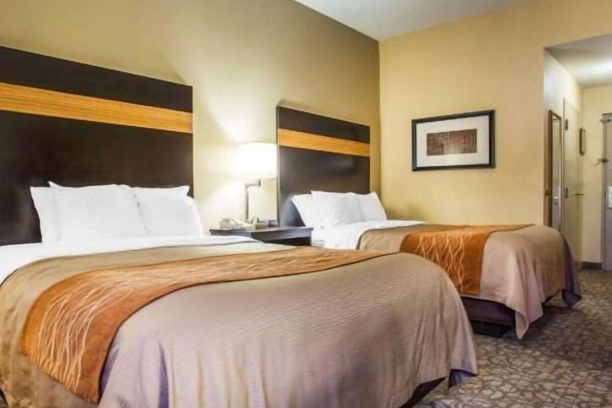 A hotel room with two beds, a nightstand with a lamp, a framed picture on the wall, and a carpeted floor.