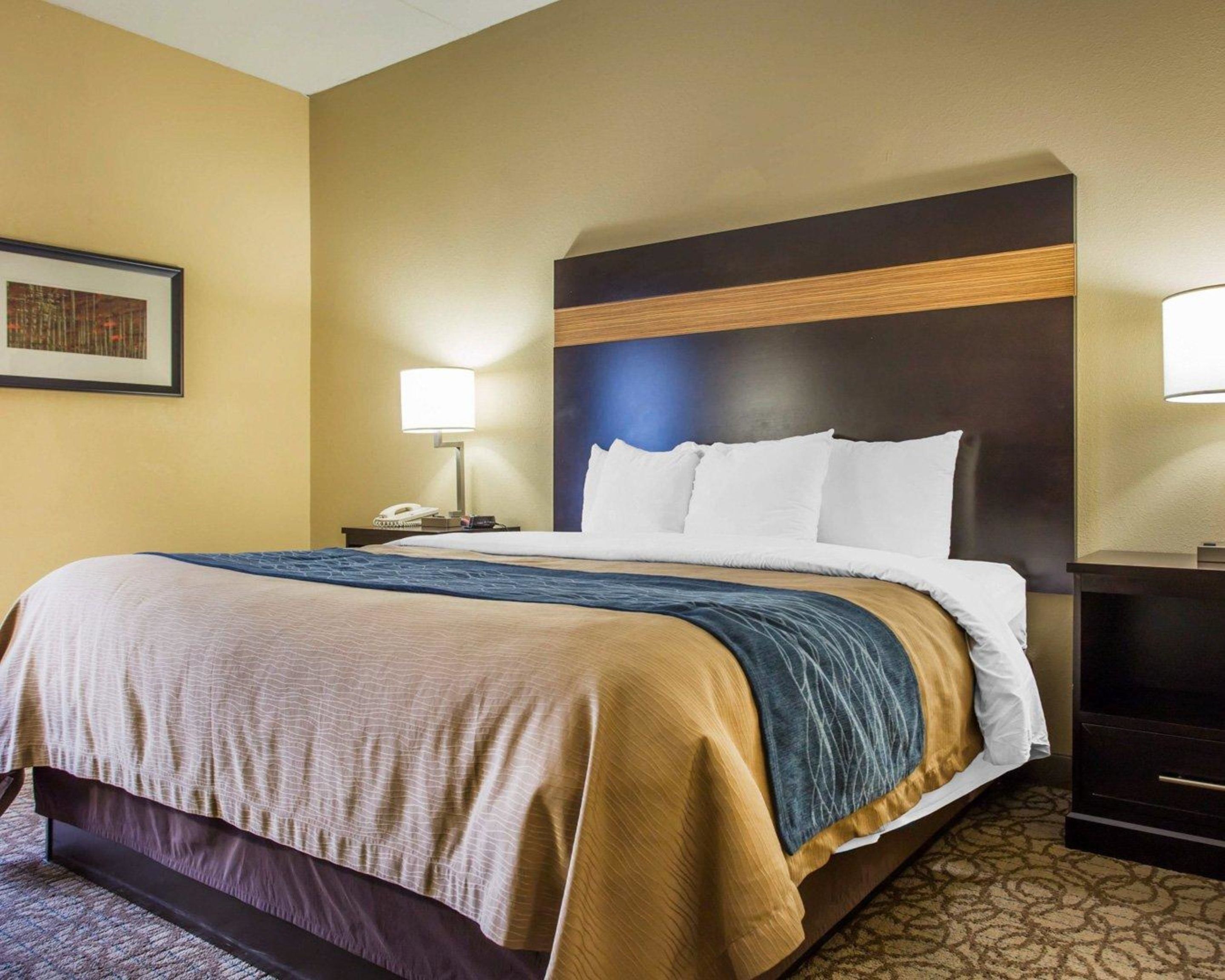 A hotel room with a large bed, a nightstand with a lamp, and a framed picture on the wall.