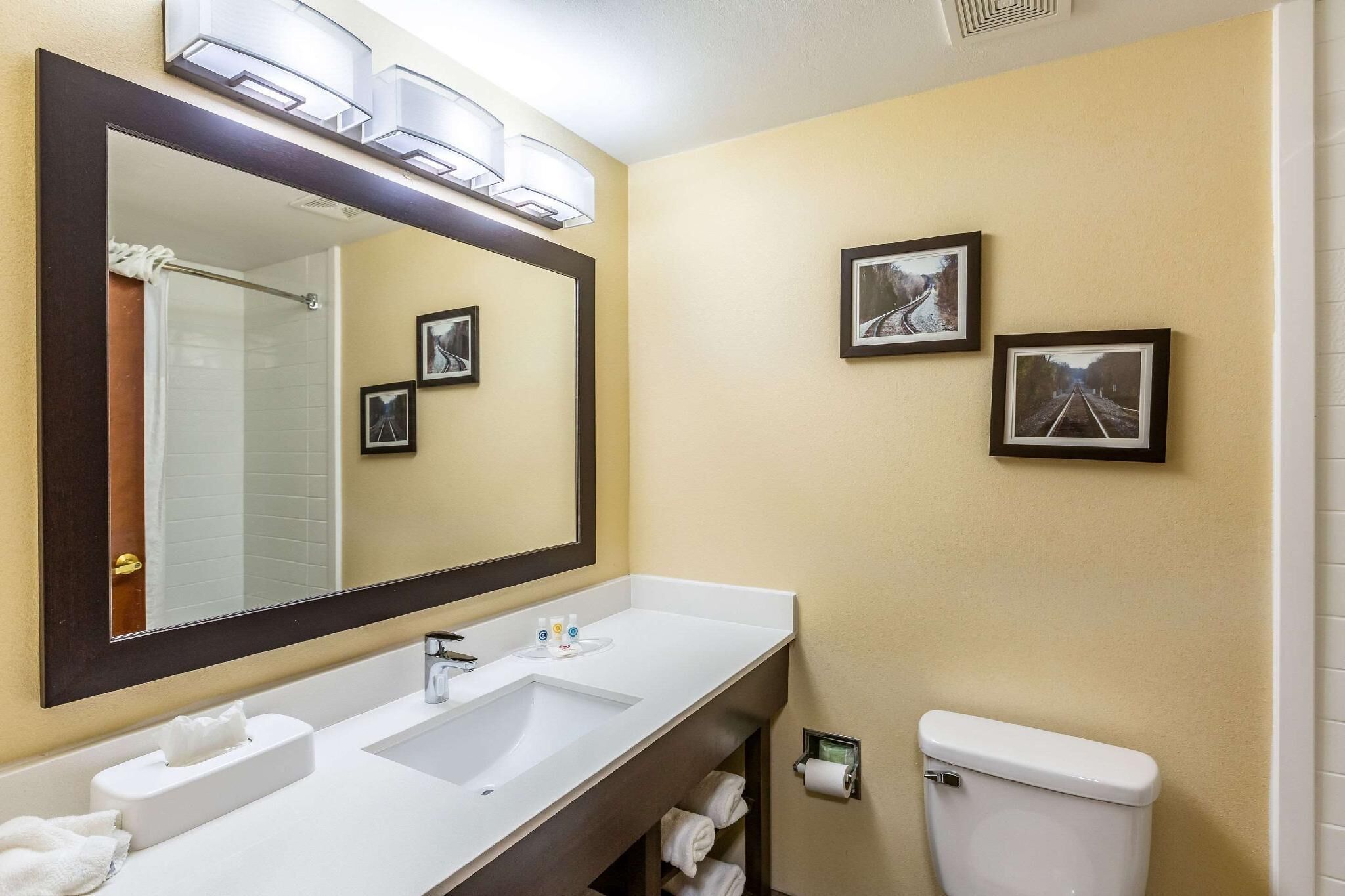 Une salle de bain avec un grand miroir, deux lavabos, des toilettes et des tableaux encadrés accrochés au mur.