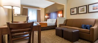 Comfort Suites Rochester Henrietta University Area