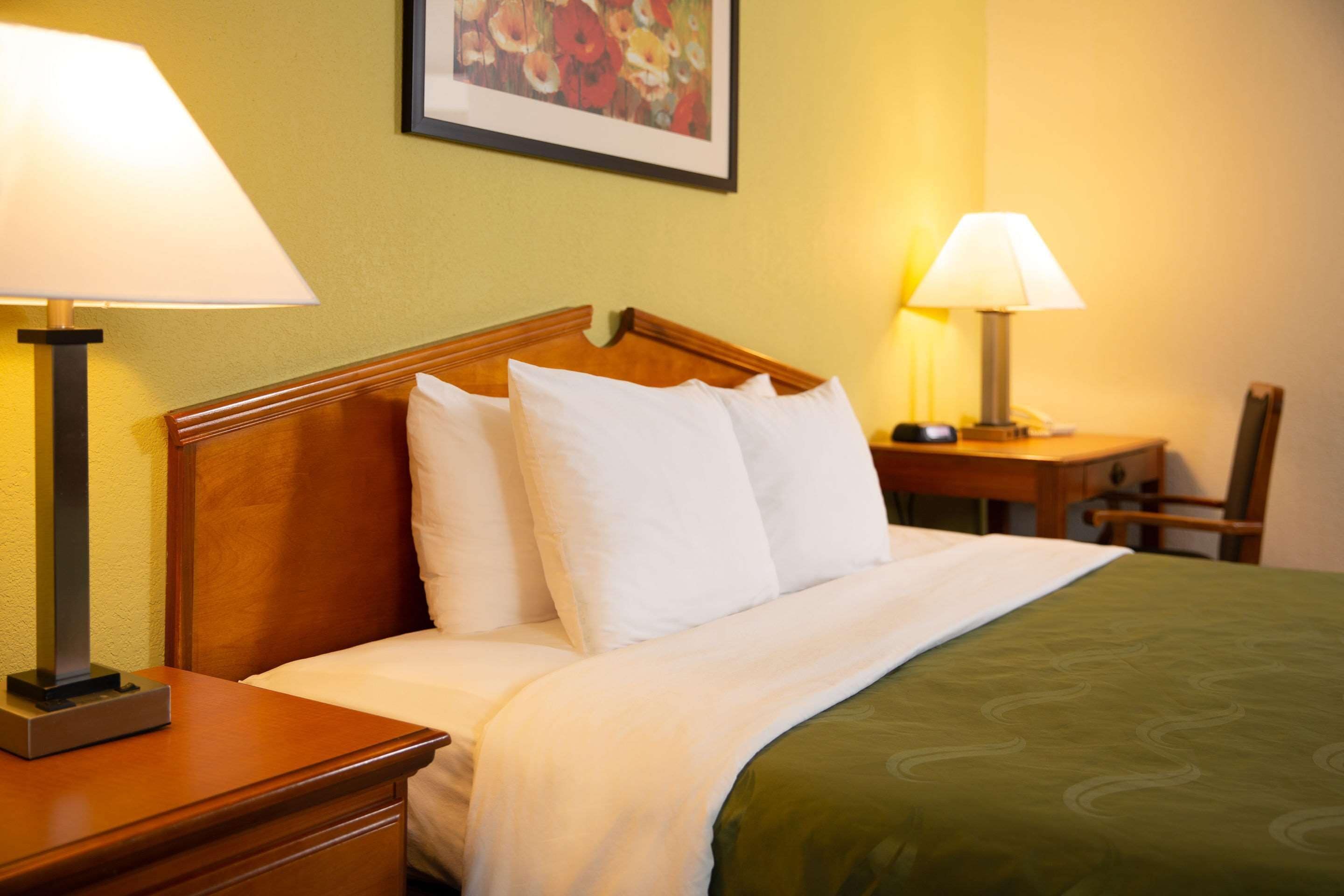 Cama bem arrumada com roupa de cama branca e colcha verde, ladeada por duas mesas de cabeceira com abajures, em um quarto com cabeceira de madeira e uma obra de arte floral emoldurada na parede.