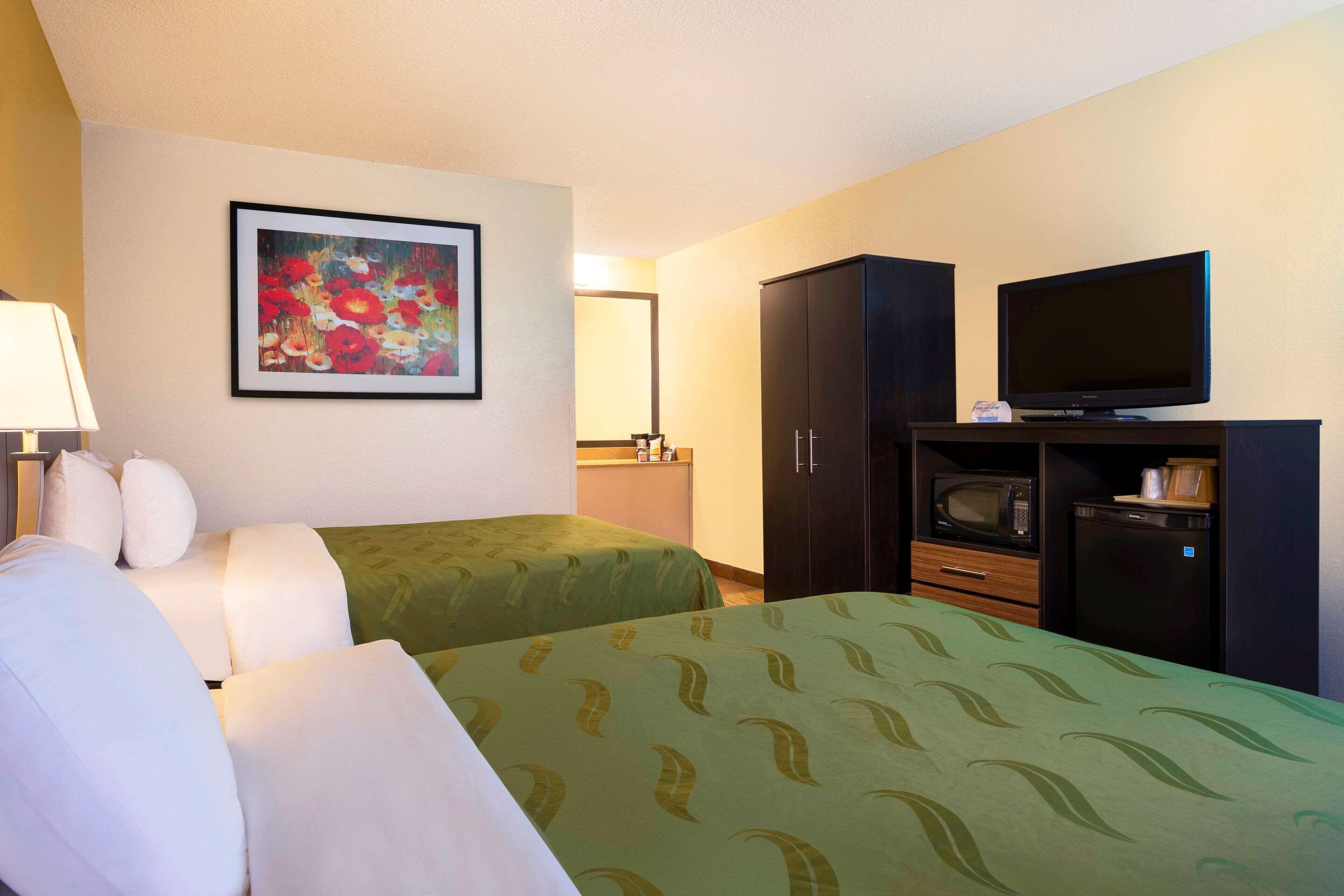Une chambre d’hôtel avec deux lits, une télévision, un four à micro-ondes et un placard.