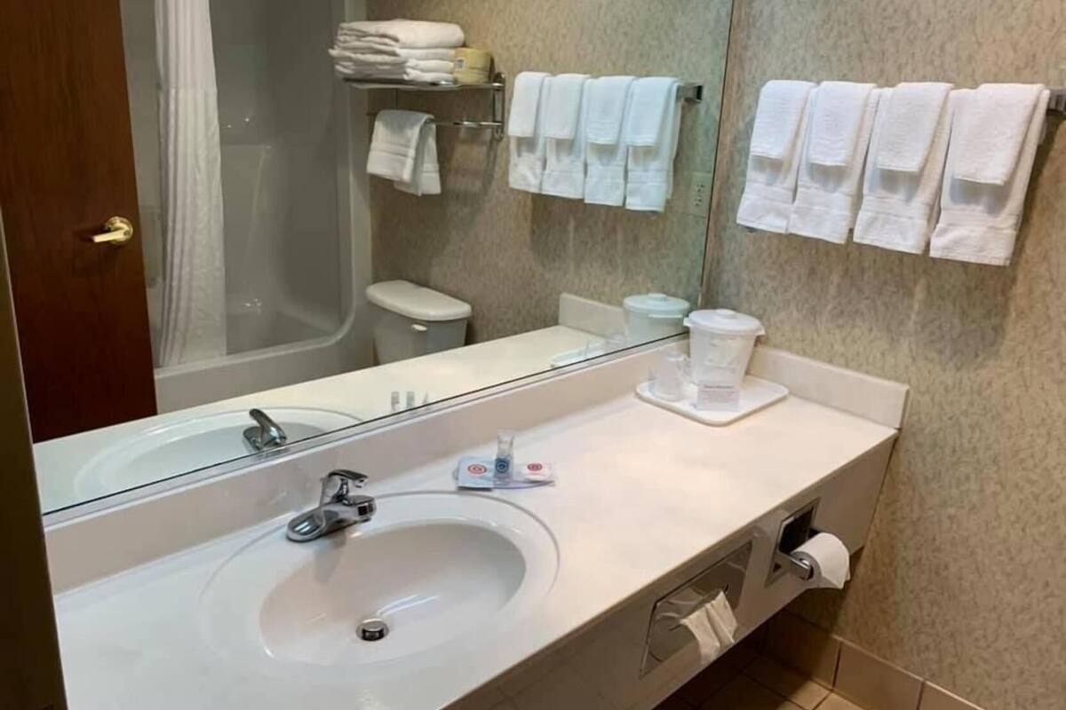 Bathroom | Combined shower/tub, free toiletries, hair dryer, towels