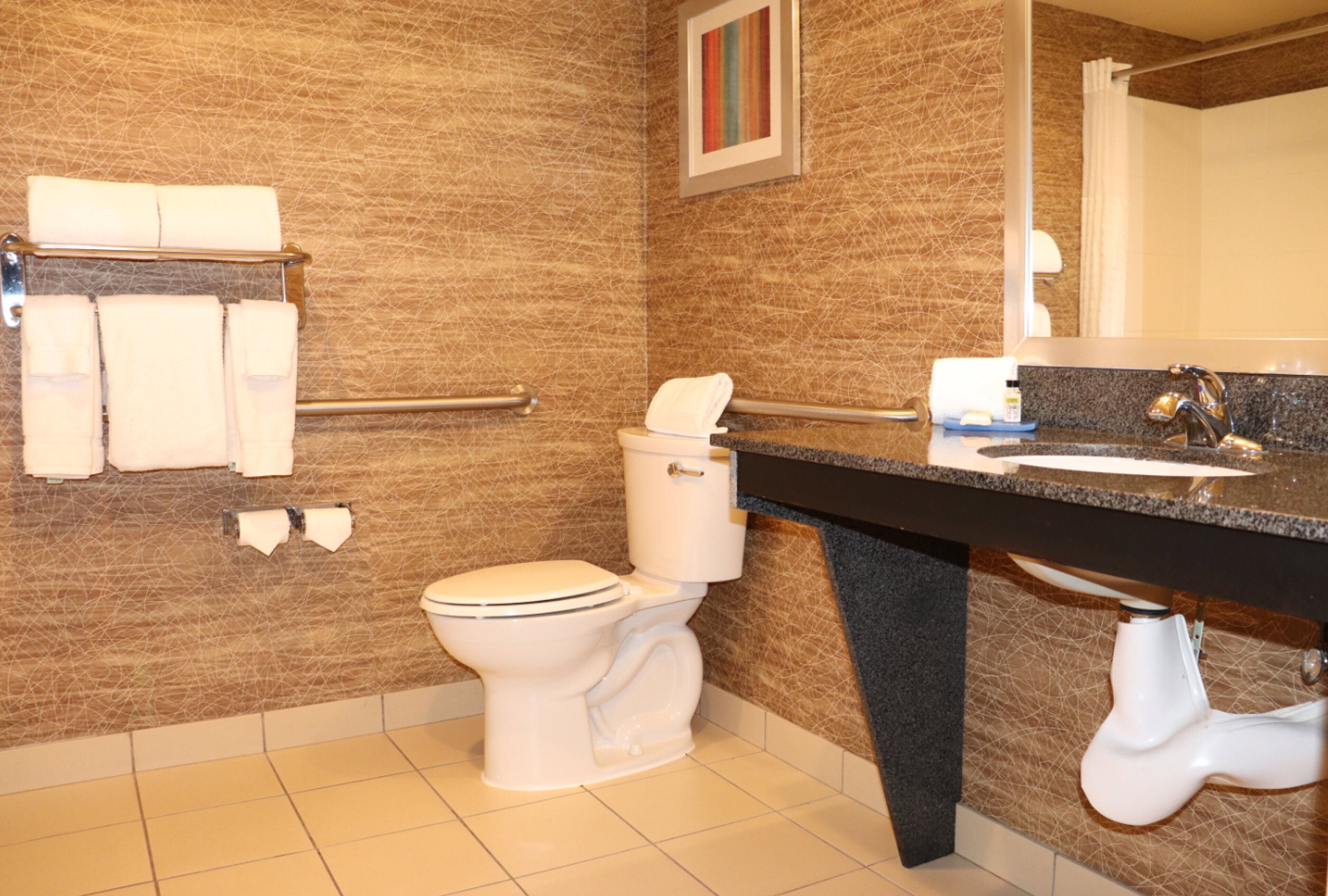 combined shower/bathtub, free toiletries, hair dryer, towels