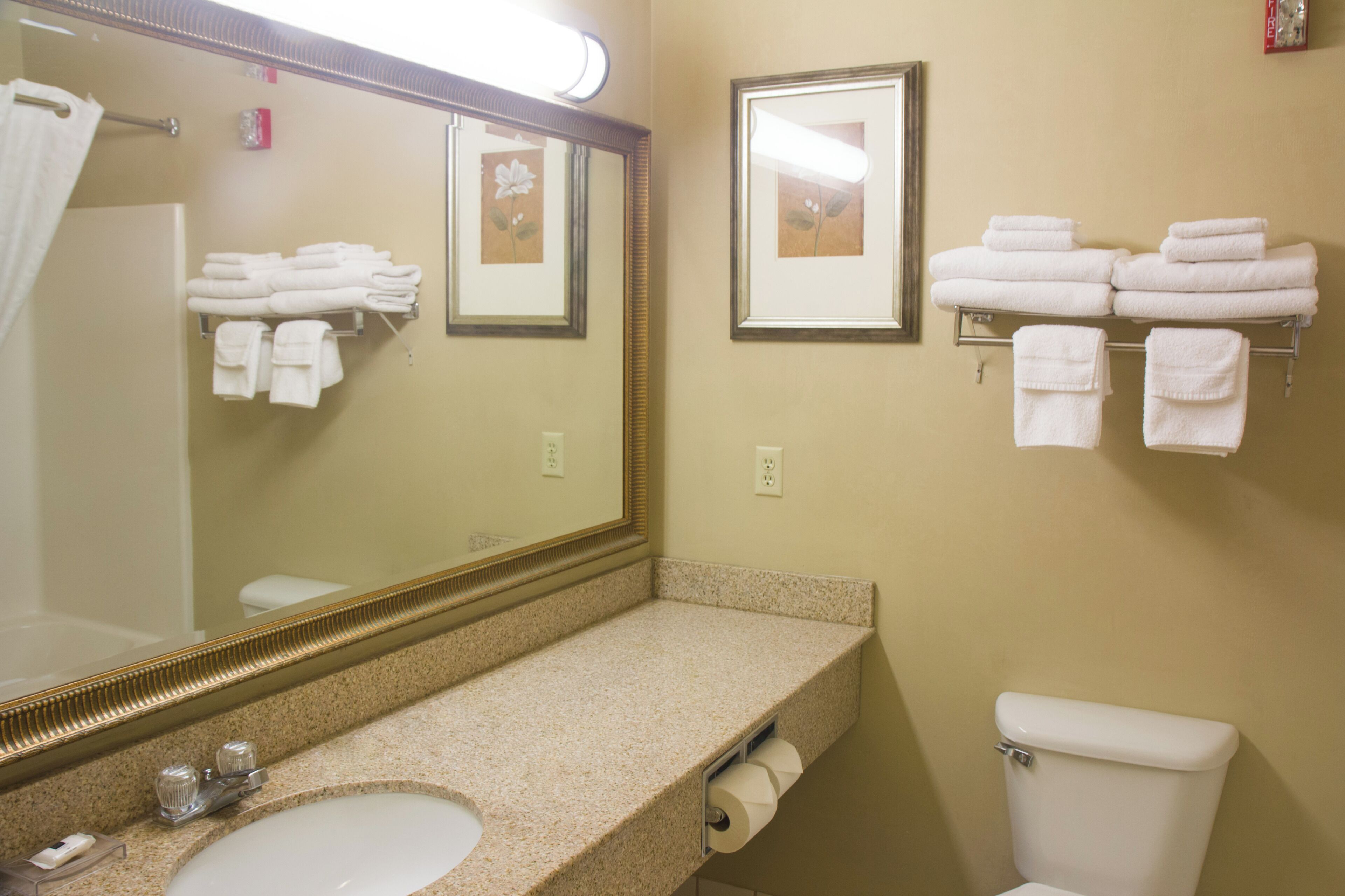 Un baño con lavamanos, espejo, inodoro y toalleros.