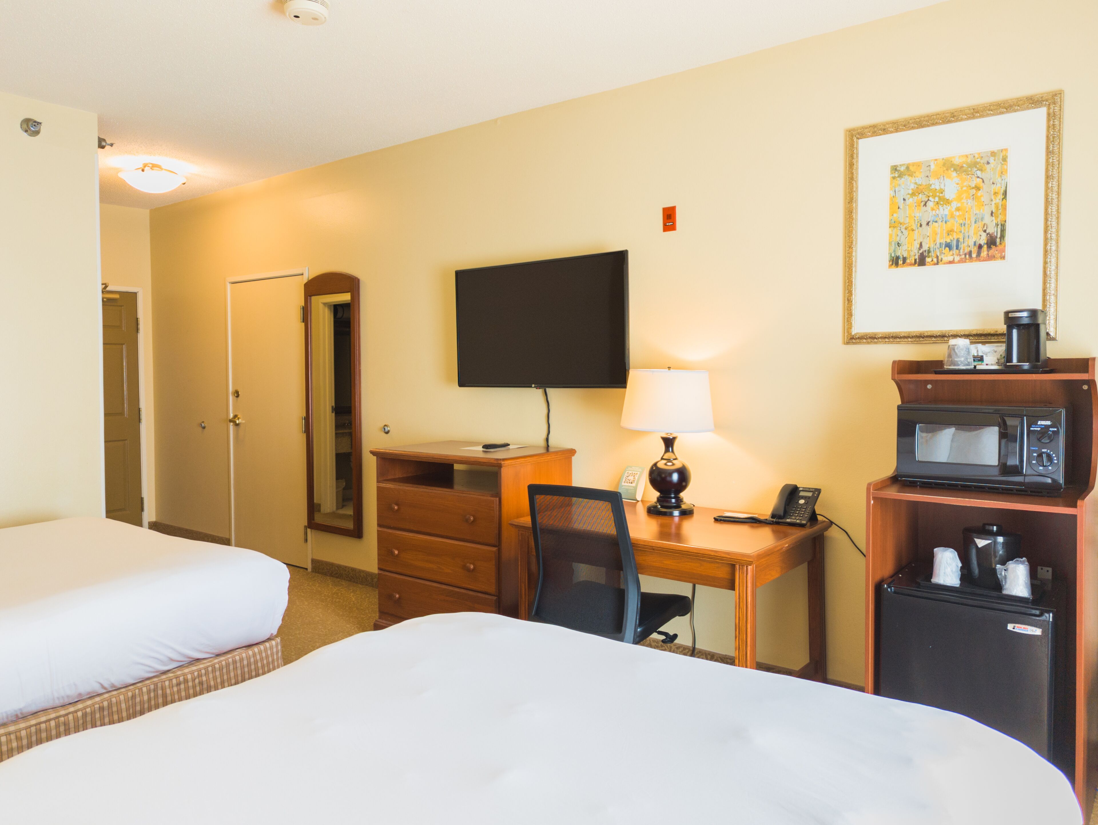 premium bedding, down duvets, desk, blackout curtains