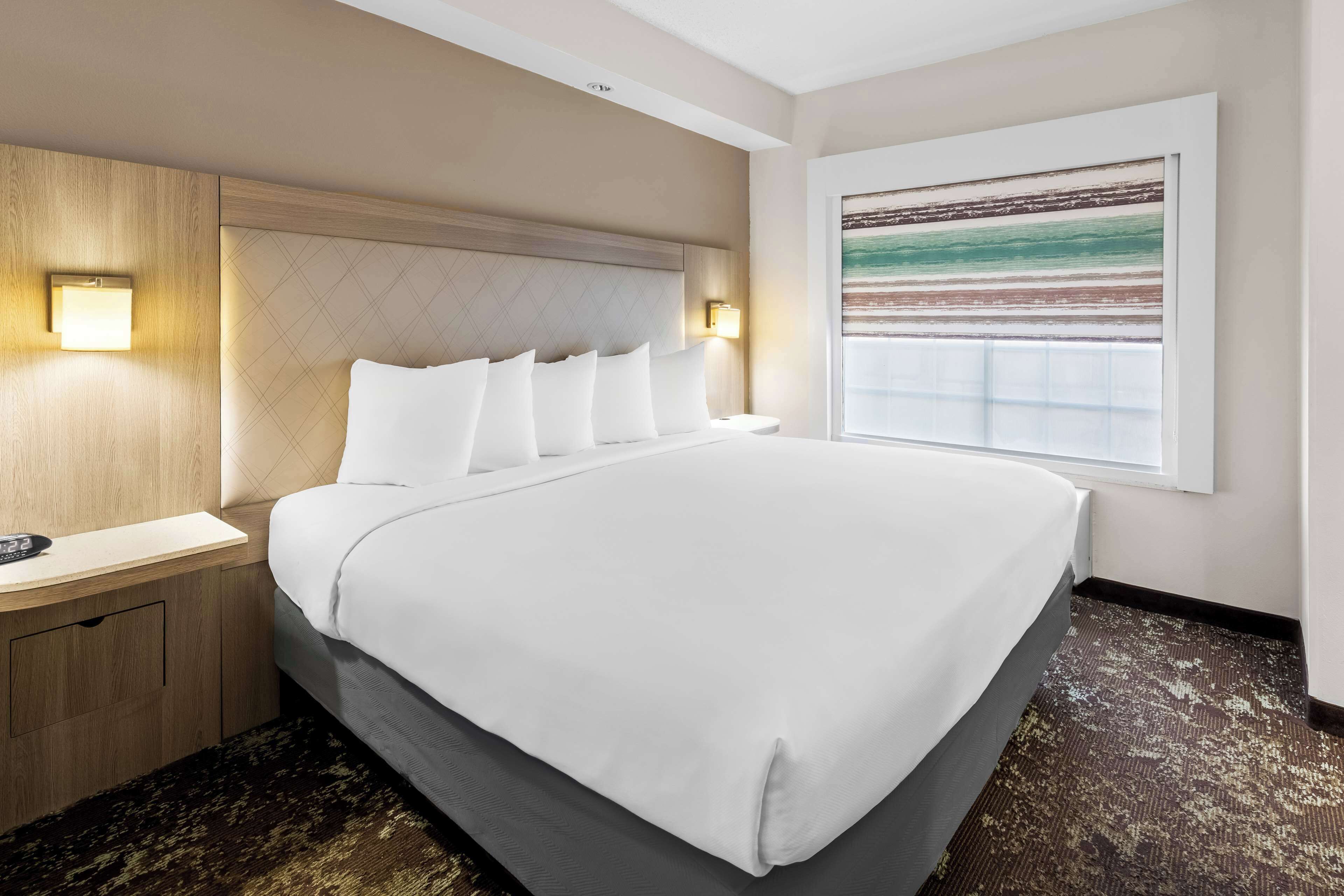 Habitación de hotel con una cama grande, cabecera de madera, dos lámparas de noche, ventanal con vistas y suelo alfombrado.
