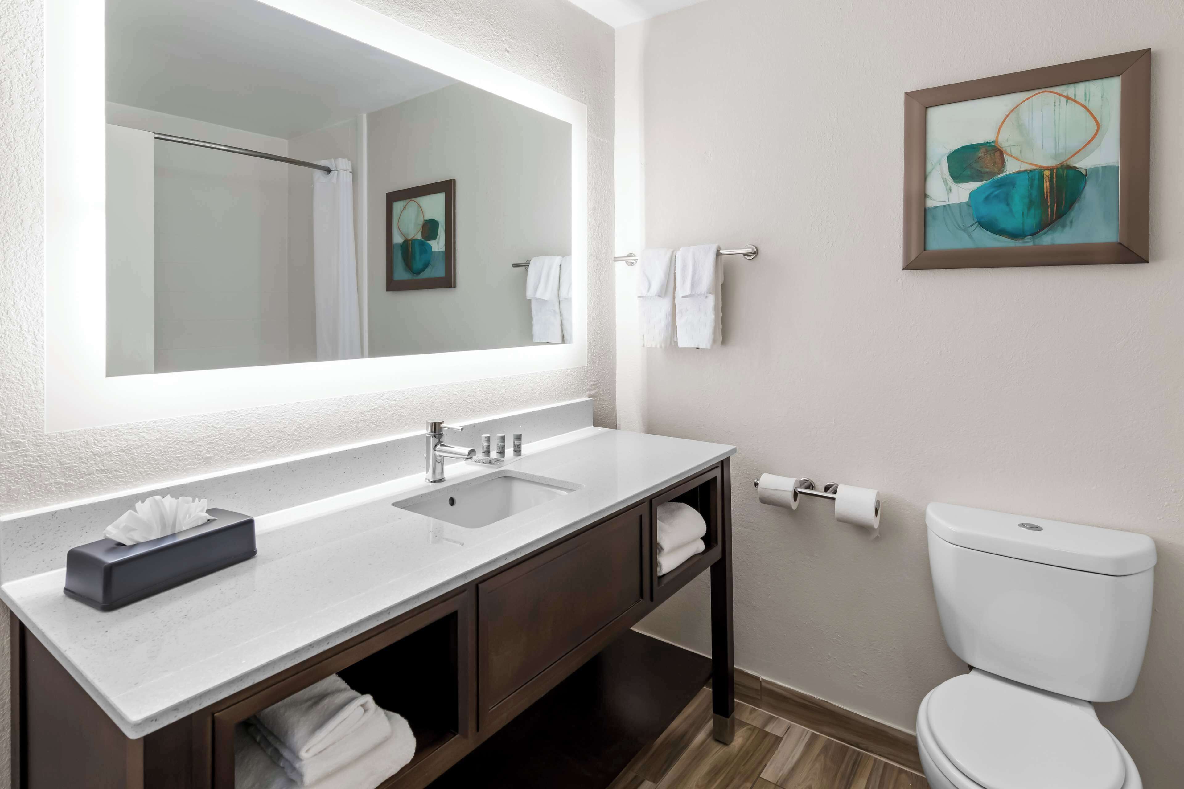 A modern bathroom with a large mirror, a sink, a toilet, and a framed artwork on the wall.