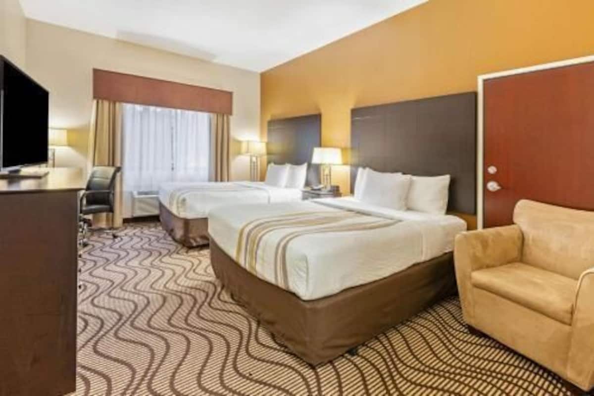 Ropa de cama de alta calidad, escritorio y cortinas blackout