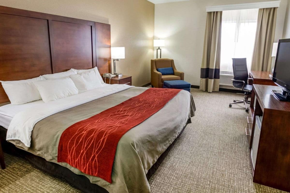 Standard Room, 1 King Bed, Non Smoking | Iron/ironing board, cribs (free), rollaway beds (surcharge), WiFi (free)