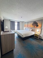 Room, 1 King Bed, Mobility Accessible, Non Smoking (Bathtub w/ Grab Bars) | Individually furnished, desk, laptop workspace, free WiFi