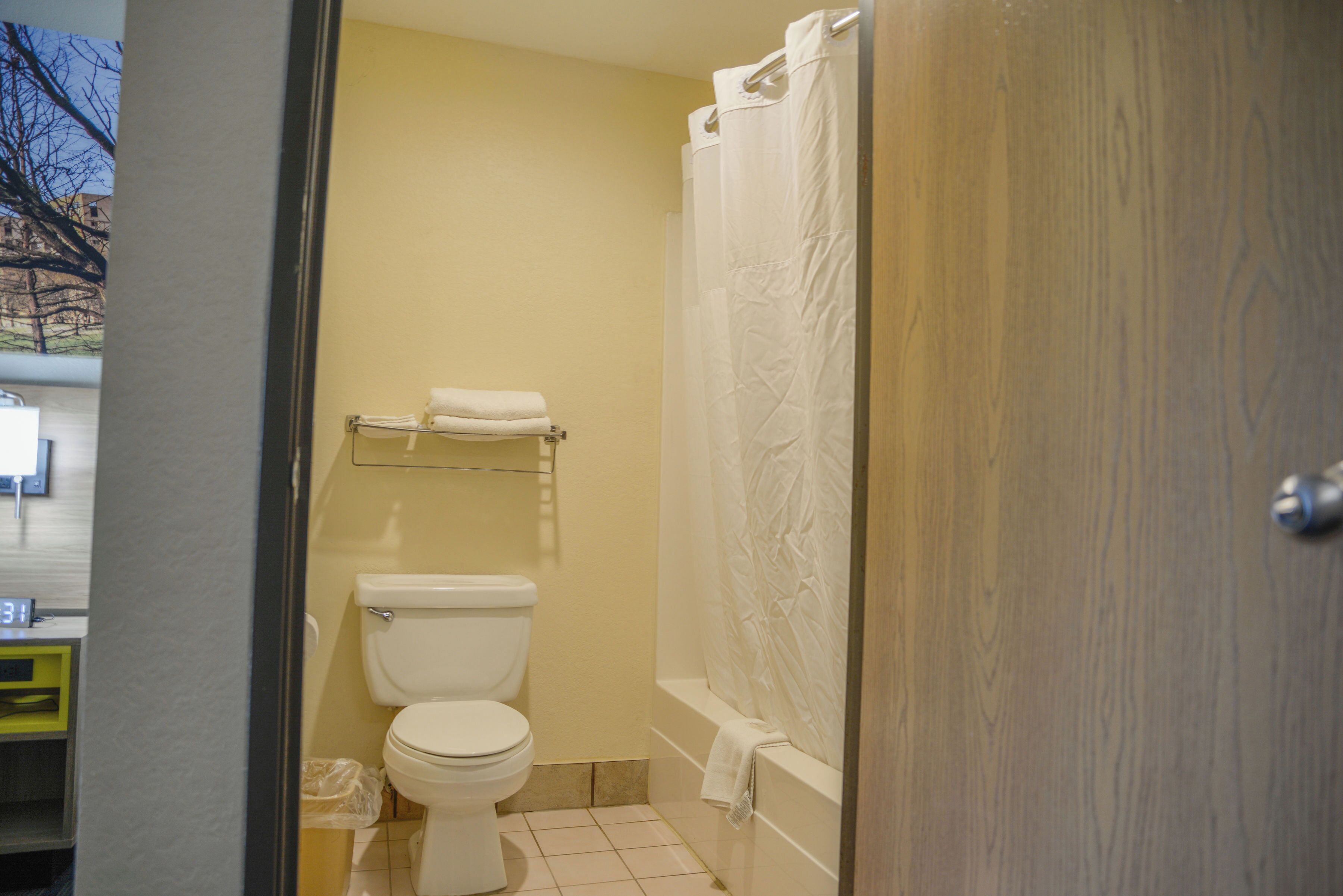 A small bathroom with a toilet, a bathtub, and a shower curtain.