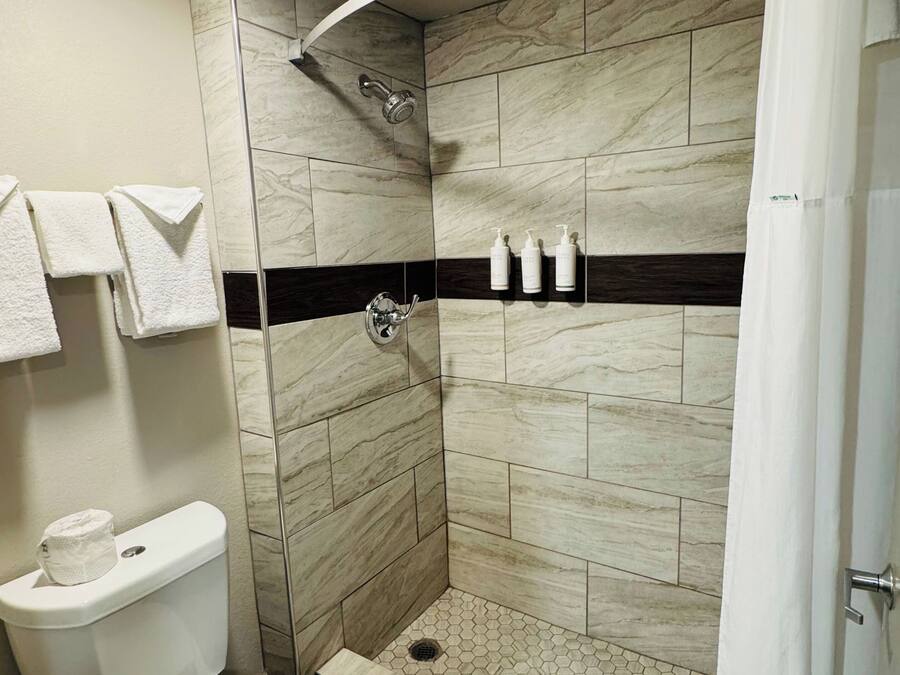 Douche de la salle de bain