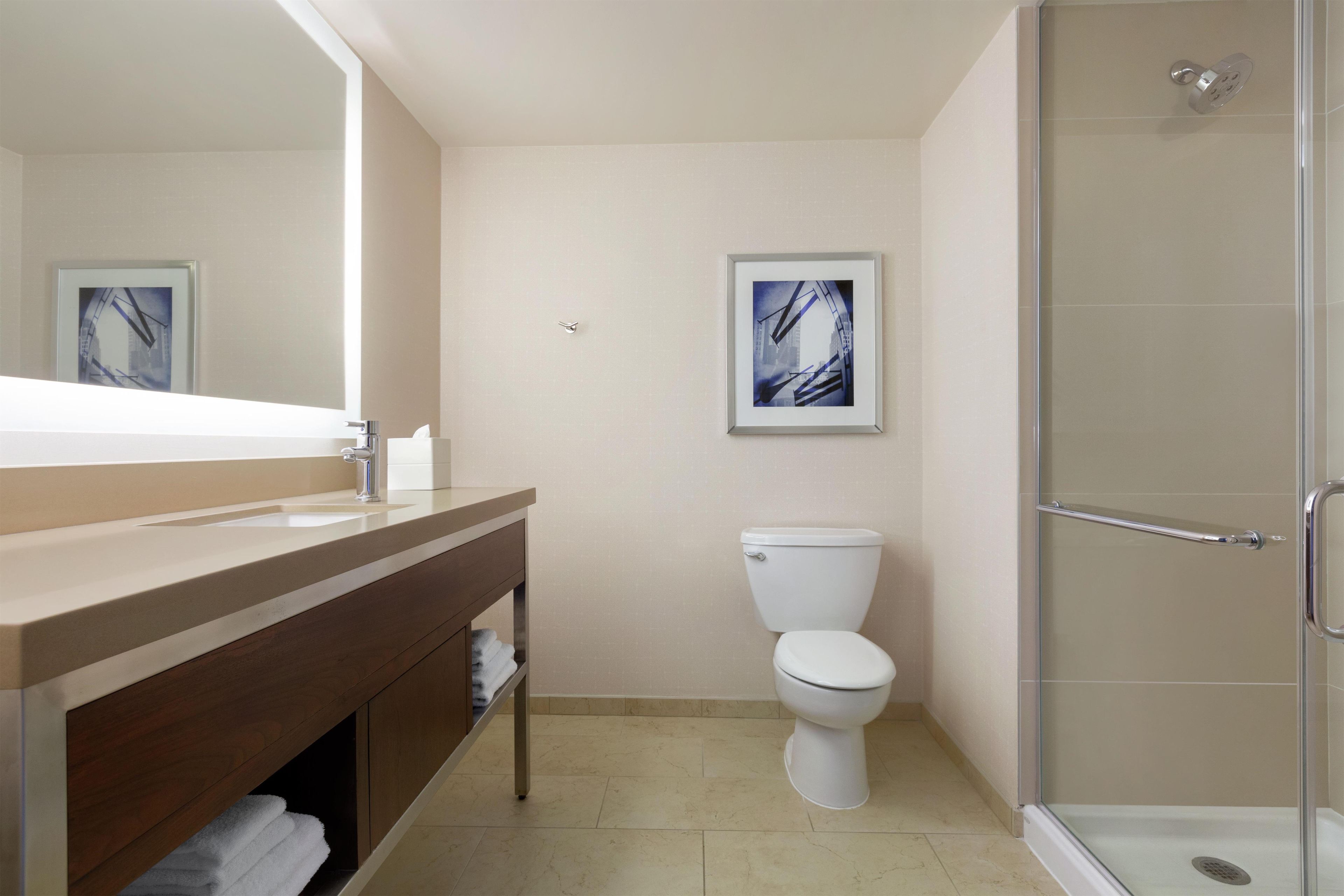 A bathroom with a large mirror, a toilet, a shower, and a framed picture on the wall.