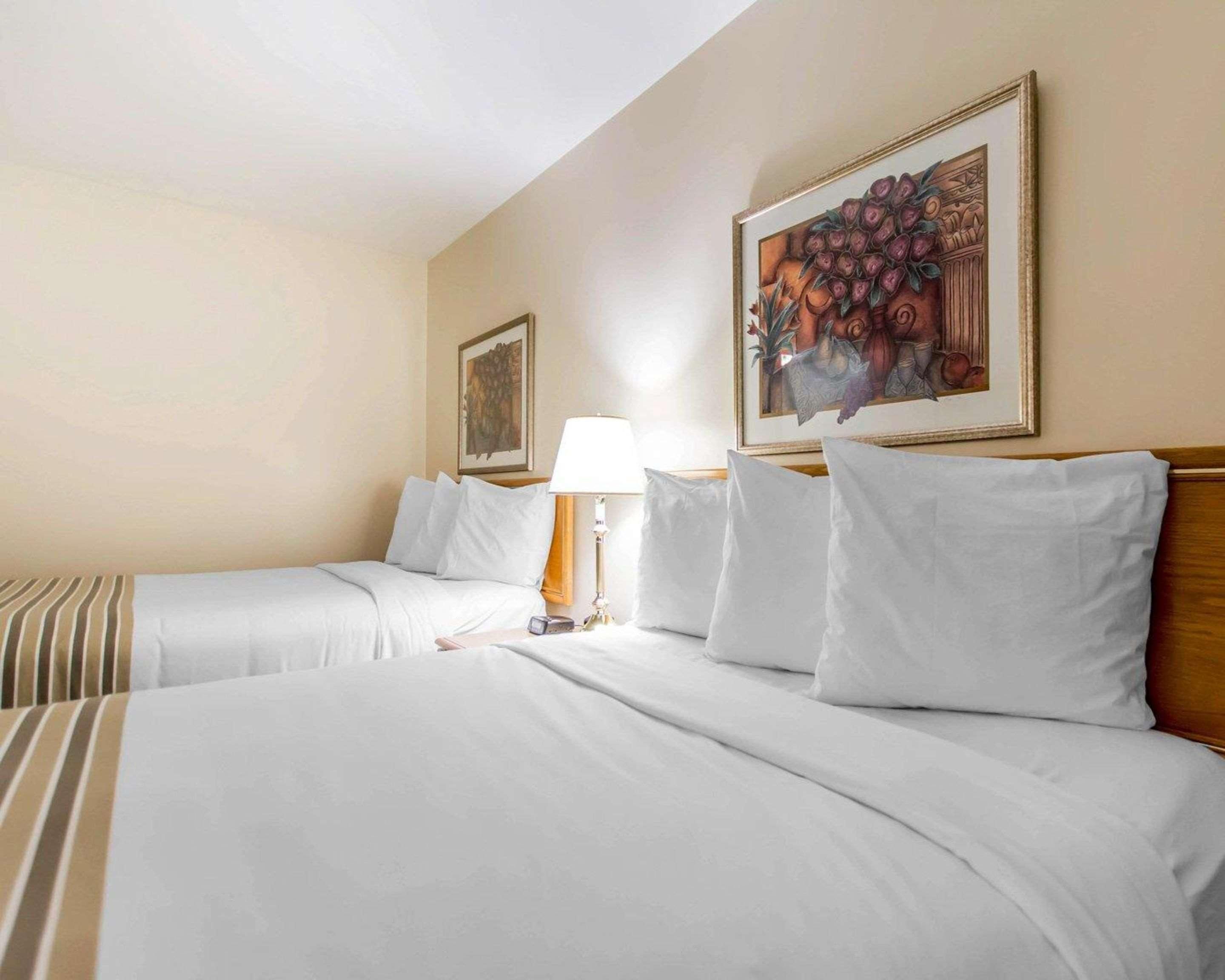 A hotel room with two beds, a nightstand, a lamp, and a framed picture on the wall.