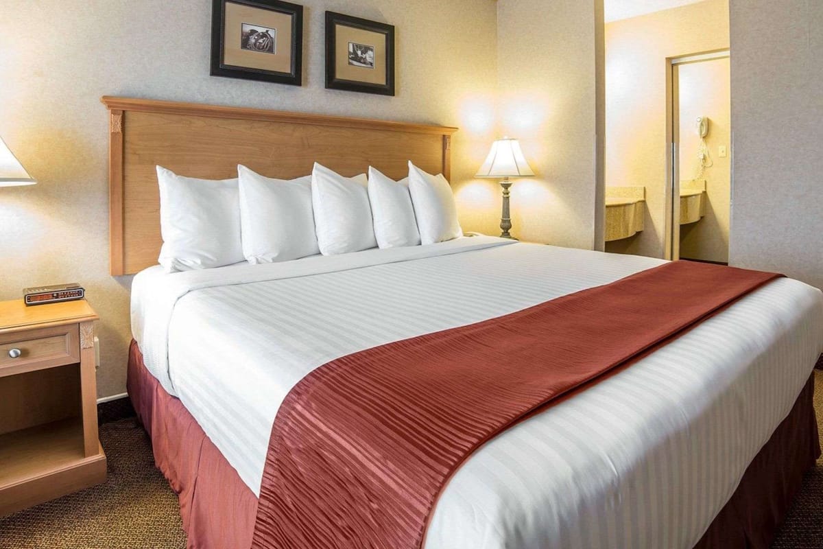 A hotel room with a large bed, two bedside tables, a nightstand, a lamp, a telephone, and two framed pictures on the wall.