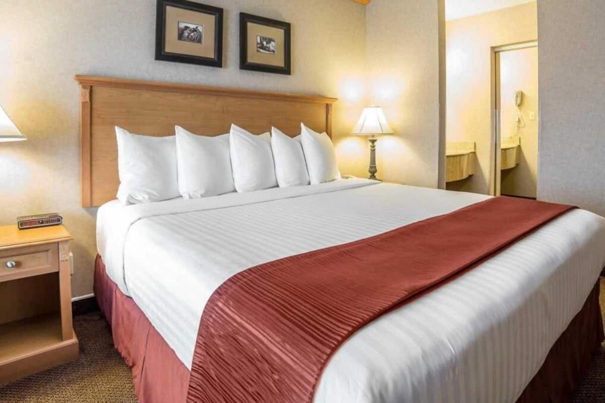 A hotel room with a large bed, a nightstand, a lamp, and two framed pictures on the wall.