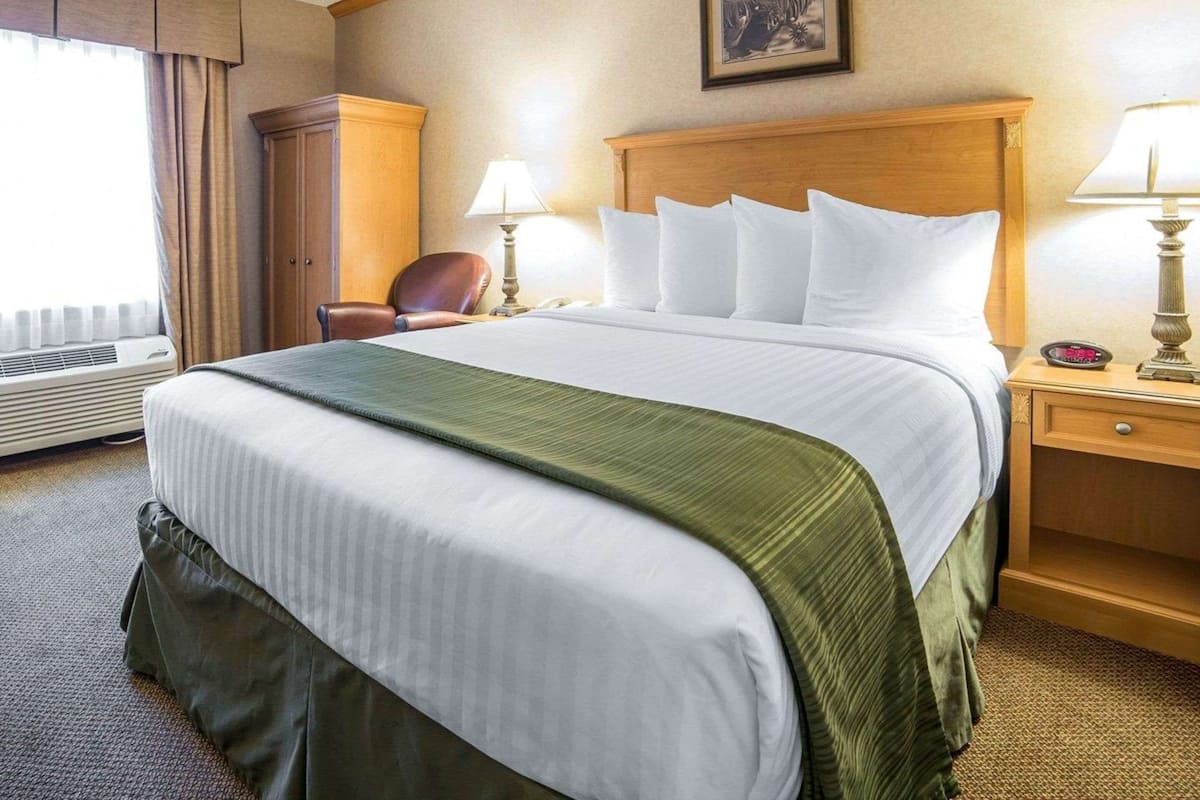 A hotel room with a large bed, a chair, a desk with a lamp, and a picture on the wall.