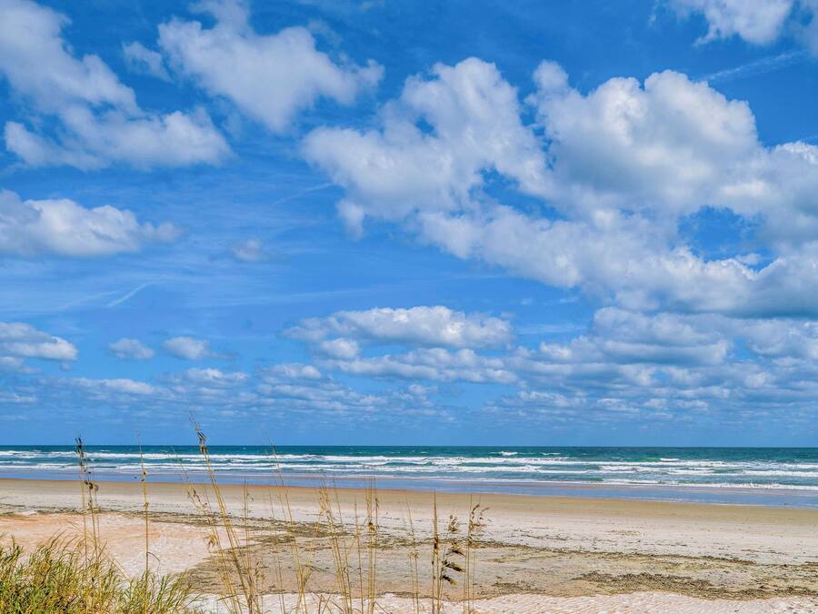 A beach with sand and sparse vegetation in the foreground, a clear sky with clouds, and the ocean in the background.