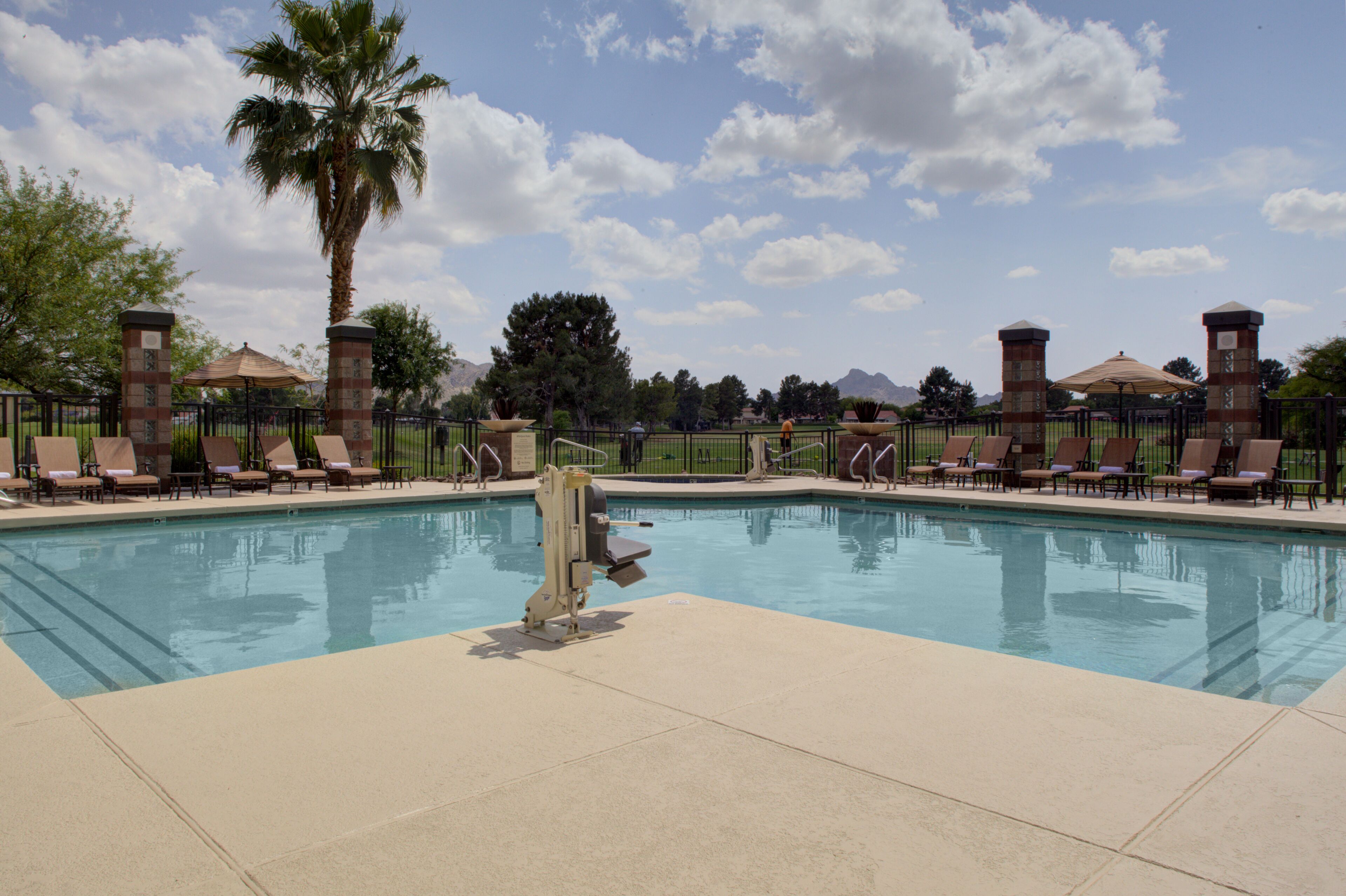 A pool area with lounge chairs and a palm tree.