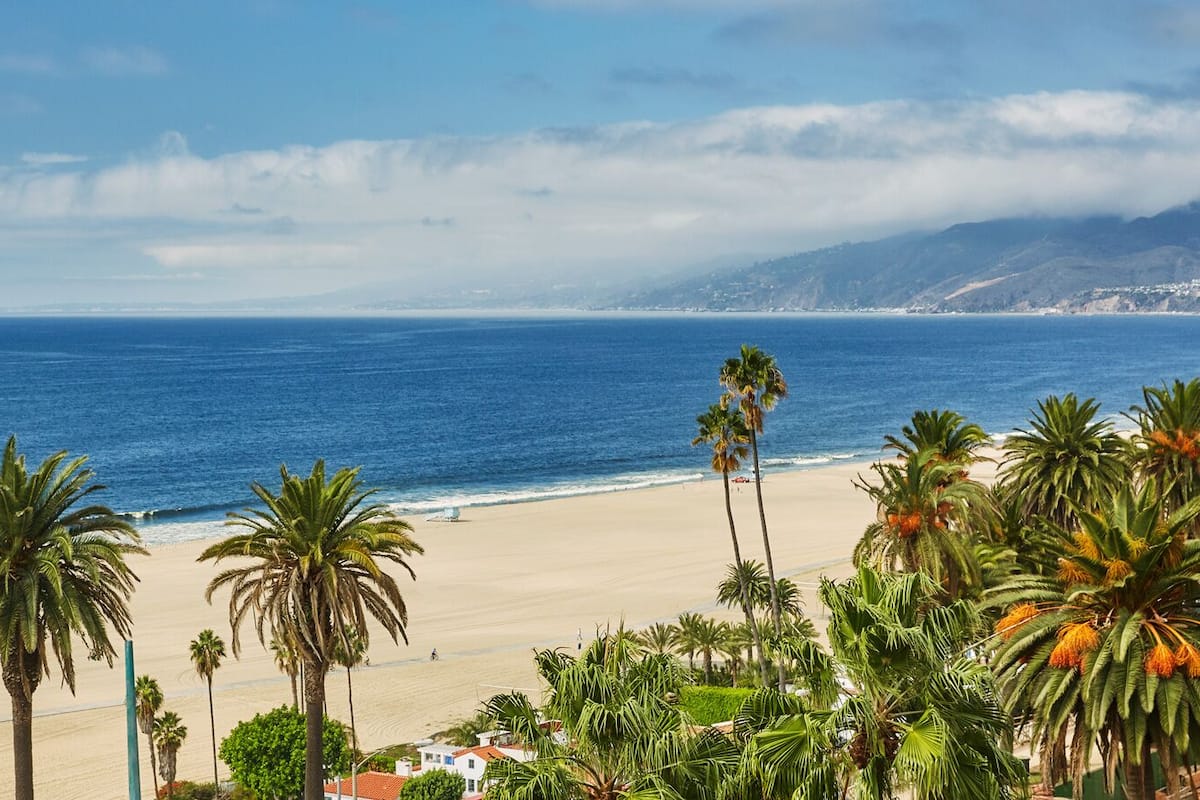 A beach with palm trees and a view of the ocean.