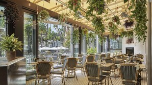 A restaurant with wicker chairs, hanging plants, and large windows offering a view of the outdoors.